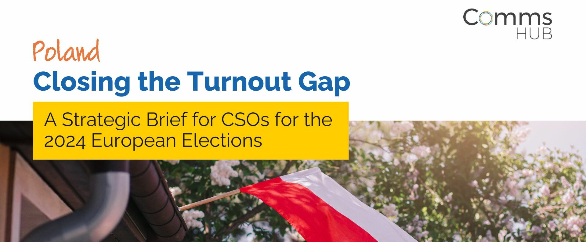 2024 EP Elections: A Strategic Brief for CSOs in Poland